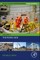 Nuclear Decommissioning Case Studies