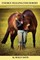 Energy Healing for Horses