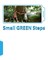 The Small GREEN Steps Program