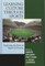 Learning Culture through Sports