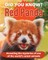 Did You Know? Red Panda