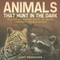 Animals That Hunt In The Dark - Nocturnal Animal Book 1st Grade Children's Animal Books
