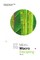 Micro--Macro Discipling