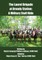 Laurel Brigade at Brandy Station