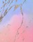Shimmering Marble Pastel Composition Notebook - Large Ruled Notebook - 8x10 Lined Notebook (Softcover Journal / Notebook / Diary)
